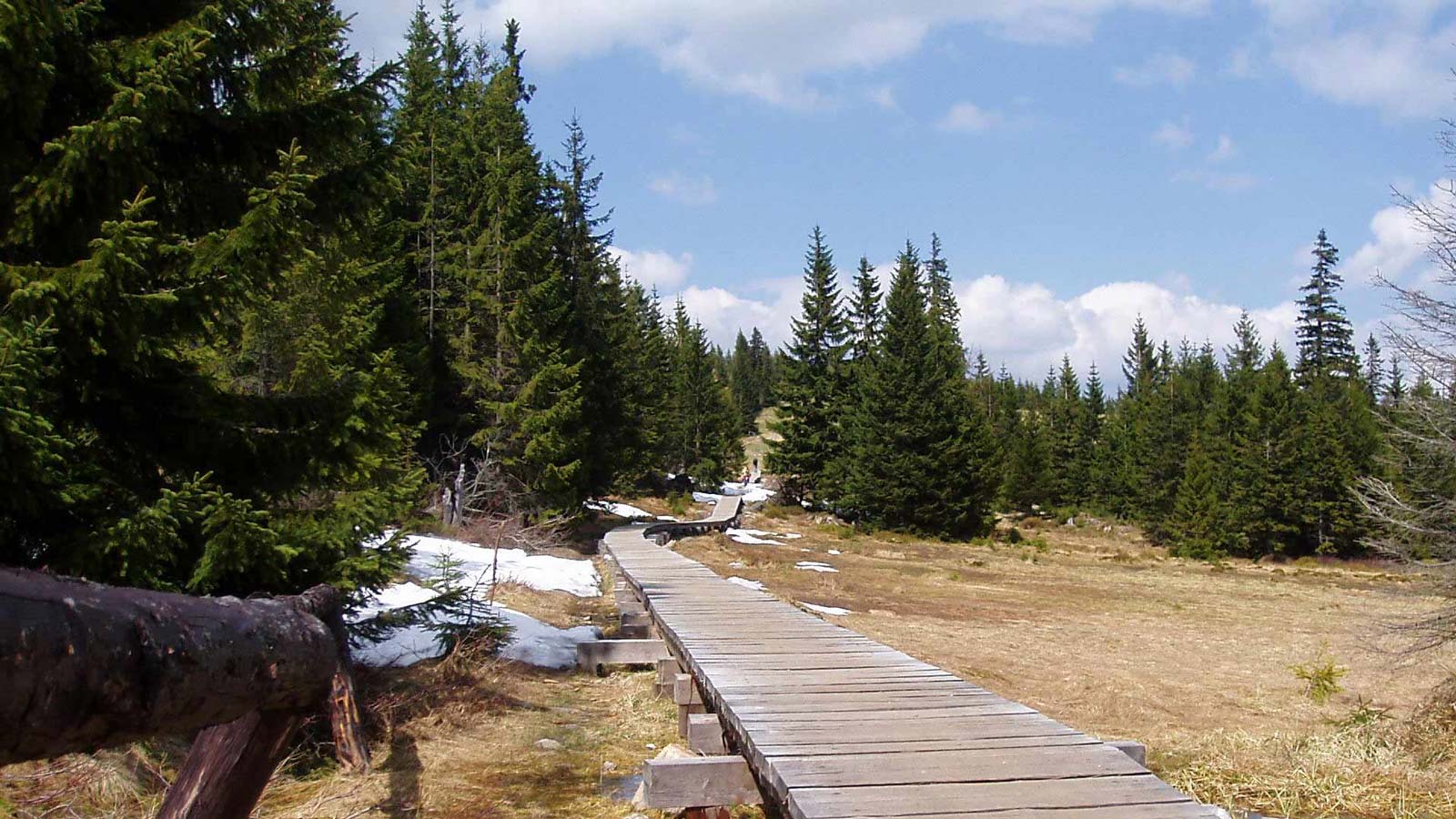 das Hotel in Polen des Berges Sudeten Karpacz